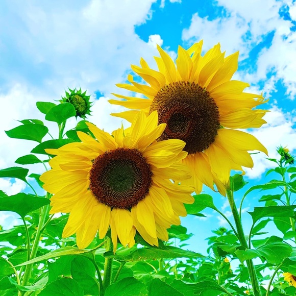 Meet your Posher, Mari - Picture 15 of 16